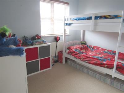 Picture 7